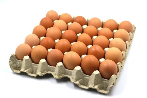 Huevos De Gallina Libre 